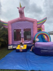 Unicorn Bounce House w Slide Wet/Dry 20ft x 15ft x 15ft (LWH)